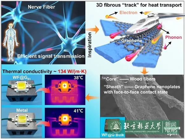 北京林业大学制备出具有金属级热导率的多功能木质复合材料