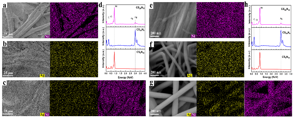 聊城大学战艳虎副教授团队和四川大学夏和生教授团队：在疏水型高效电磁屏蔽材料上取得新进展
