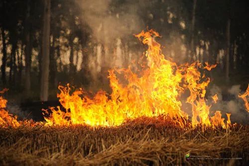 石墨烯机油、石墨烯轮胎，“中国式”恶俗何时休？