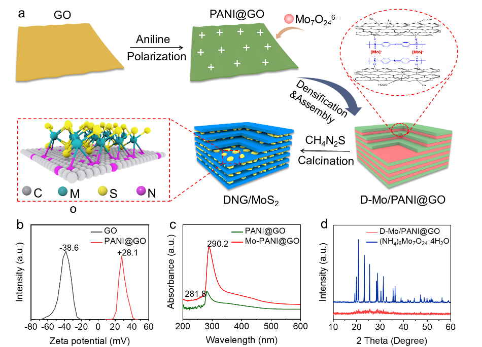范壮军教授、张苏副教授，JMCA：静电组装-限域生长高密度石墨烯夹层二硫化钼量子点实现高体积储钠性能