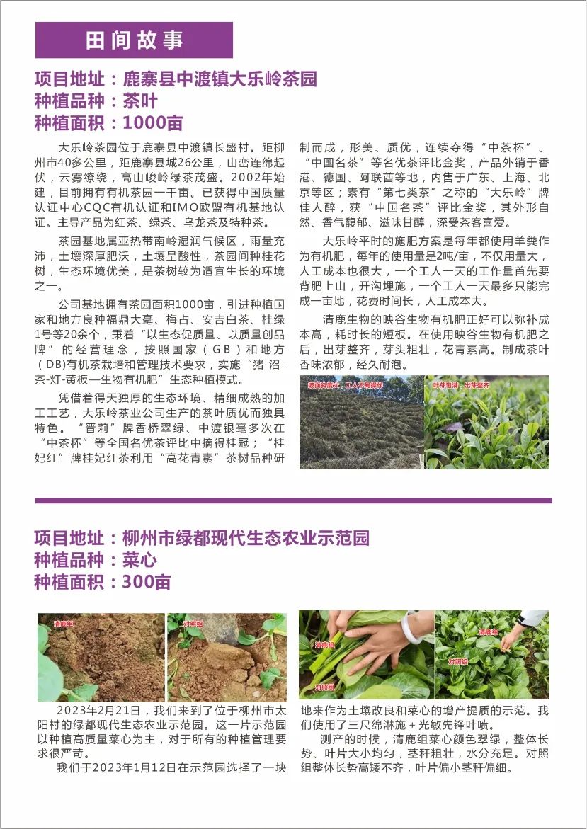 清鹿简报 | 第03期