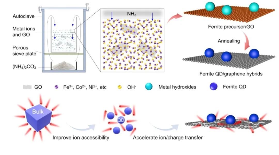 付民/雷钰/林雨潇/Mauricio Terrones教授，AM：仿生合成铁氧体量子点/石墨烯异质材料用于高性能超级电容器