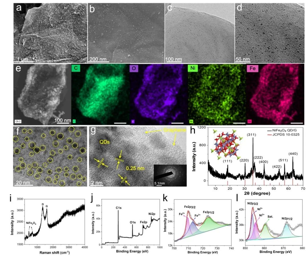 付民/雷钰/林雨潇/Mauricio Terrones教授，AM：仿生合成铁氧体量子点/石墨烯异质材料用于高性能超级电容器