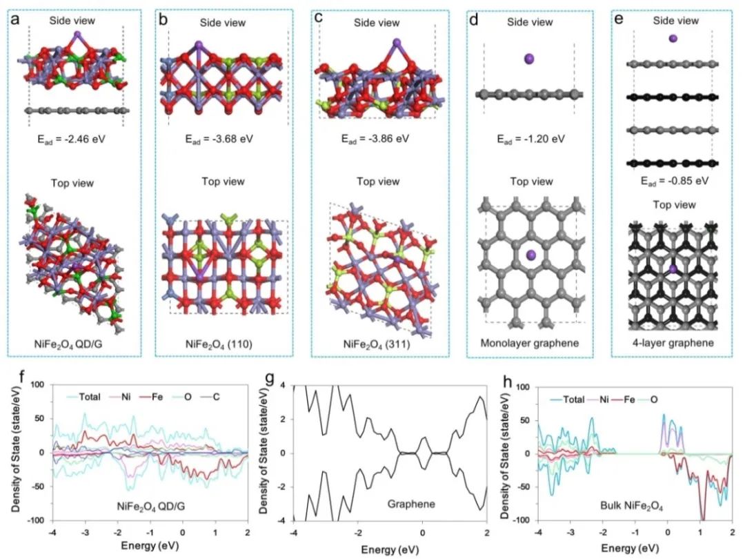 付民/雷钰/林雨潇/Mauricio Terrones教授，AM：仿生合成铁氧体量子点/石墨烯异质材料用于高性能超级电容器