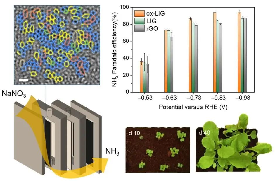 ​港城大AM：FE近100%！非晶态石墨烯上硝酸盐直接合成氨