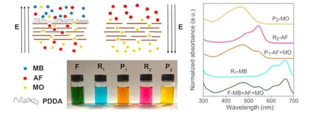 曲良体ACS Nano：基于拱桥石墨烯结构的电调制纳滤膜用于多组分分子分离