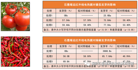 农业保温工程石墨烯应用解决方案