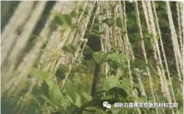 农业保温工程石墨烯应用解决方案