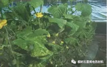 农业保温工程石墨烯应用解决方案