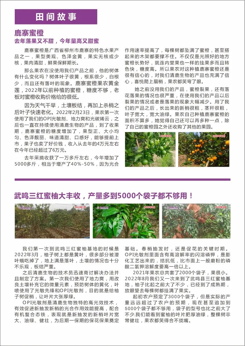 清鹿简报 | 第04期