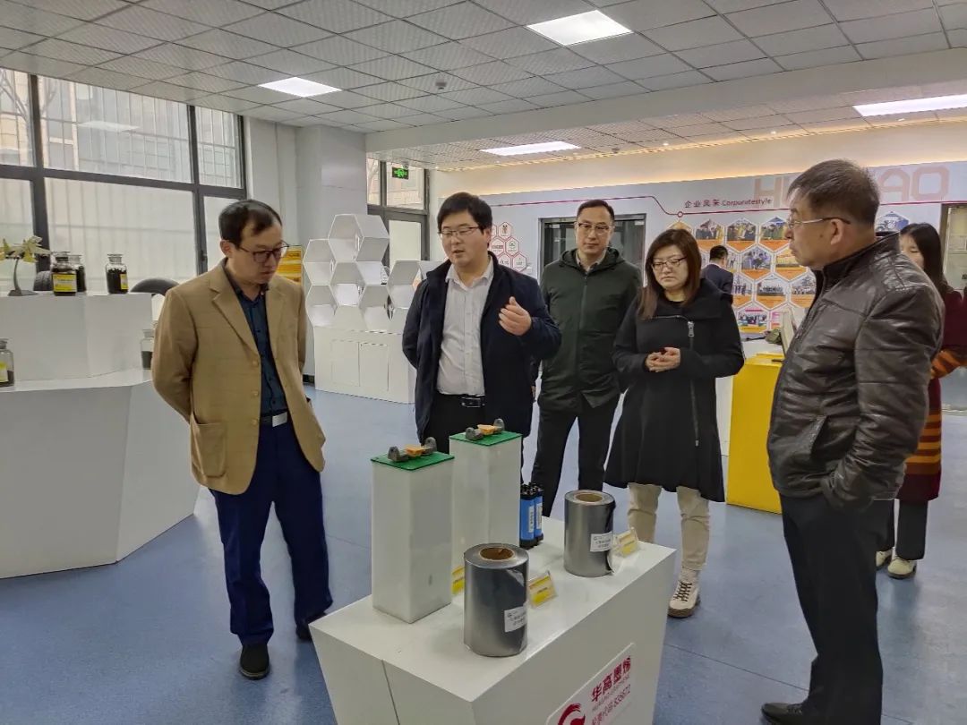 军委融办、国家发改委专家小组走进华高墨烯考察指导工作