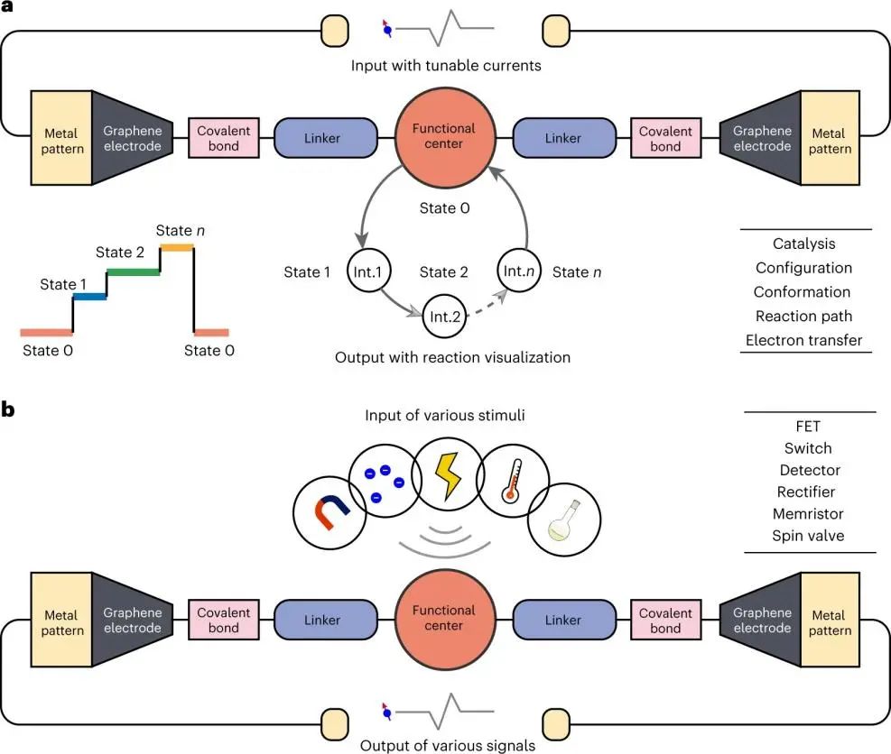 郭雪峰团队《Nature Protocols》：分子尺度上探测电子反应的石墨烯-分子-石墨烯单分子结