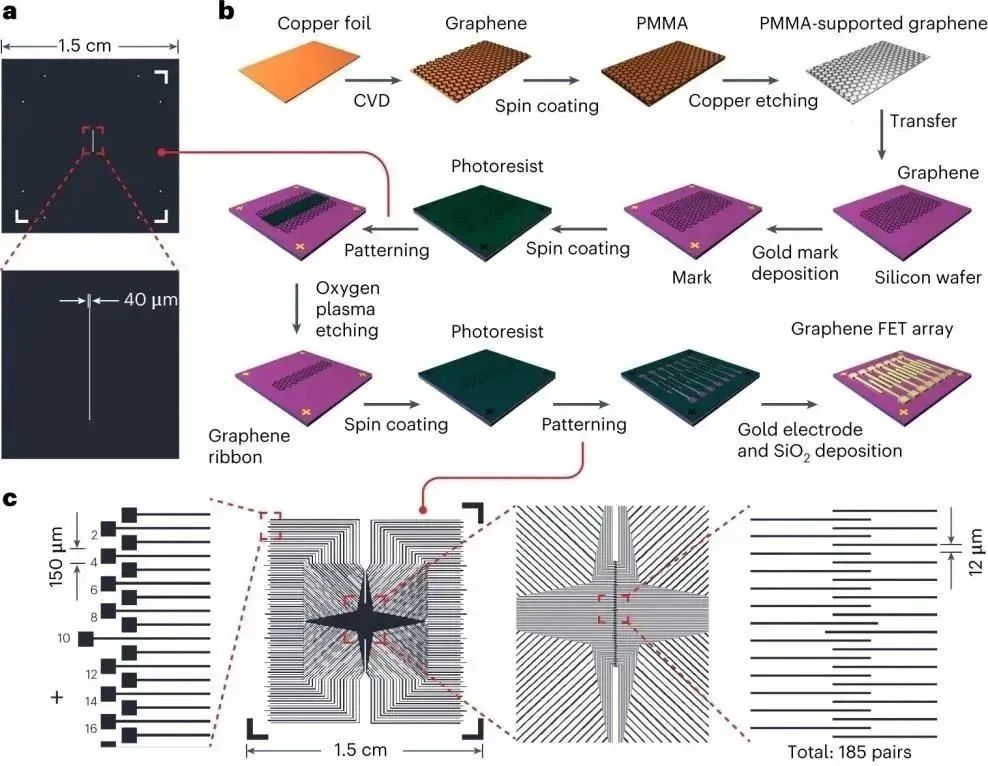 郭雪峰团队《Nature Protocols》：分子尺度上探测电子反应的石墨烯-分子-石墨烯单分子结