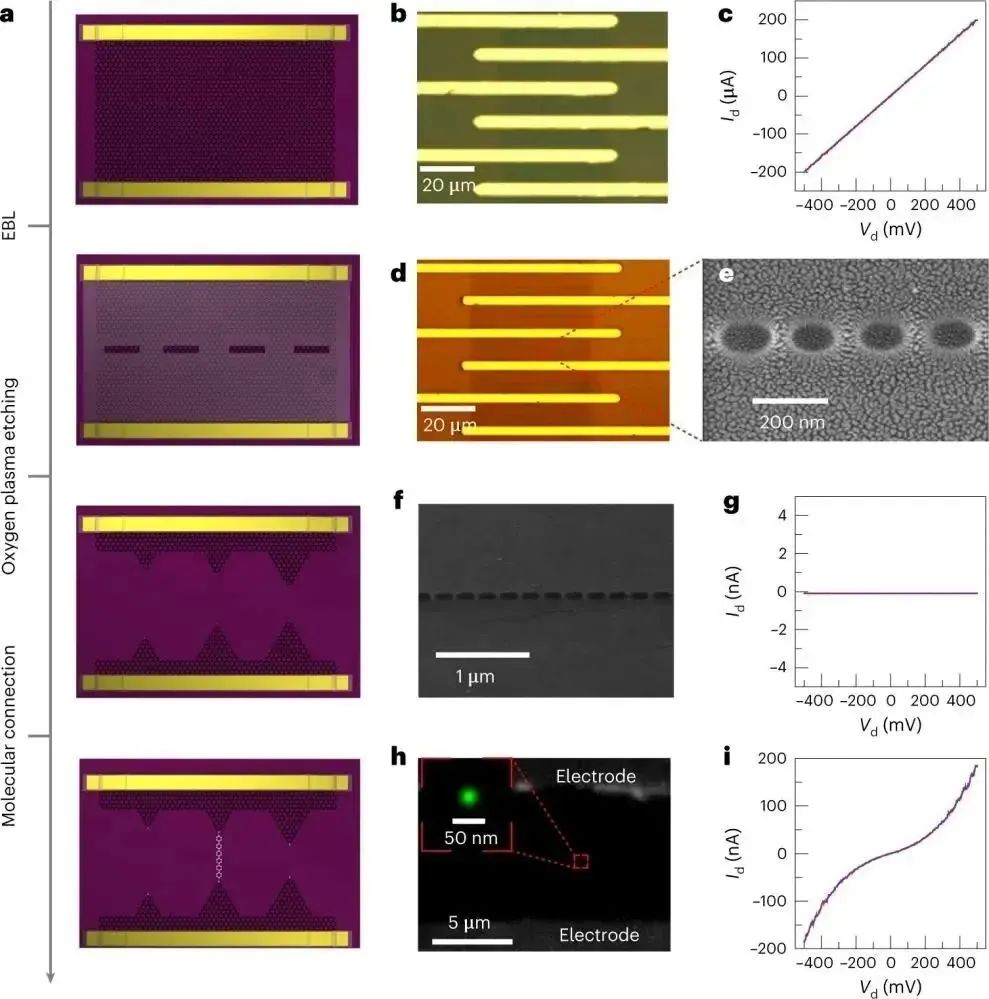 郭雪峰团队《Nature Protocols》：分子尺度上探测电子反应的石墨烯-分子-石墨烯单分子结