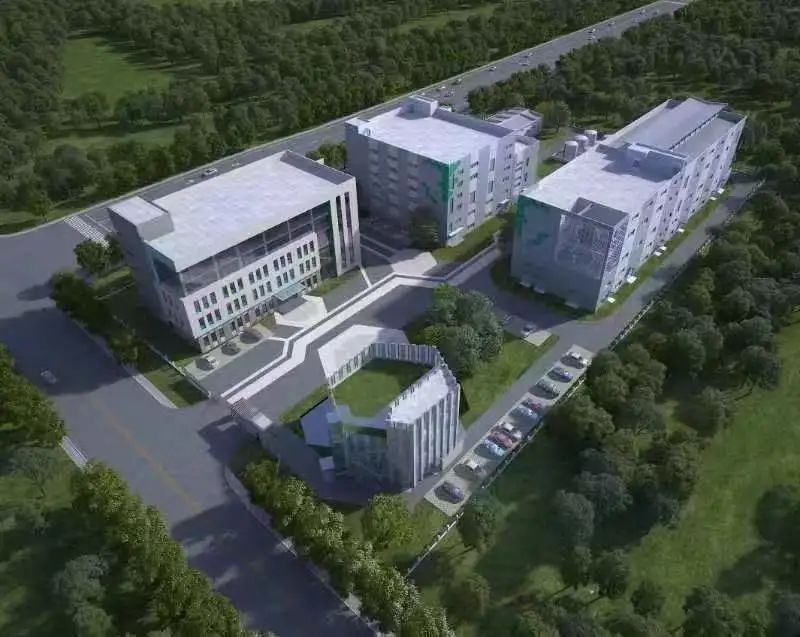 喜封金顶 不负所期丨恭贺第六元素“研发中心”封顶大吉！