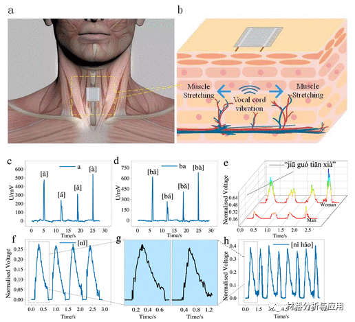 燕山大学《ACS AEM》:基于柔性石墨烯压阻传感器的喉部语音信号检测研究