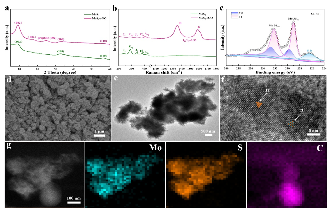 Batteries & Supercaps: 在还原氧化石墨烯纳米片上装饰丰富的1T-MoS2纳米花以实现快速锌离子存储