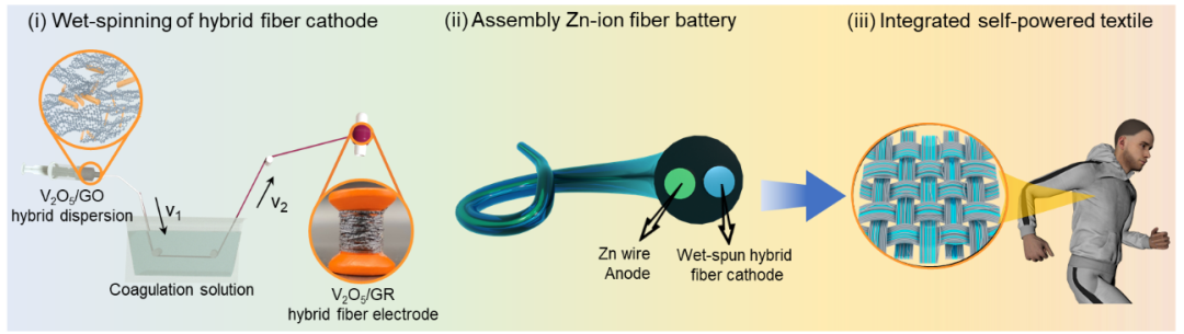 邵元龙课题组AM：石墨烯诱导流变工程构筑高取向纤维电极