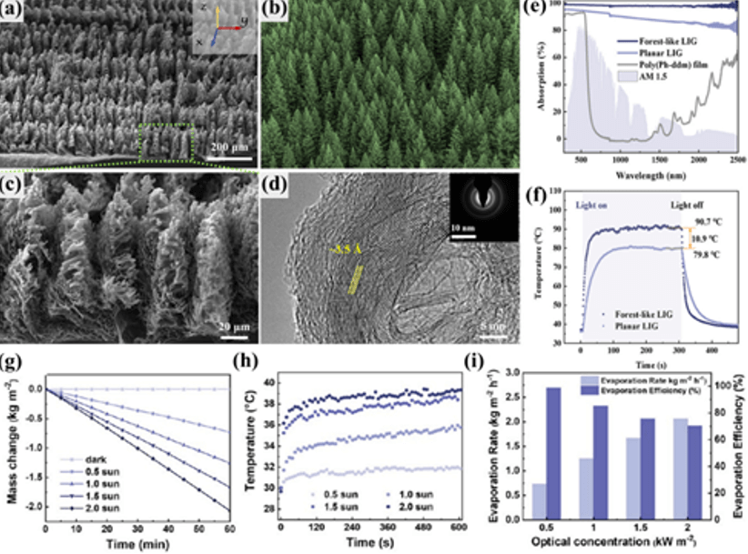 宁波材料所在基于热固性树脂的碳材料制备上取得系列研究进展