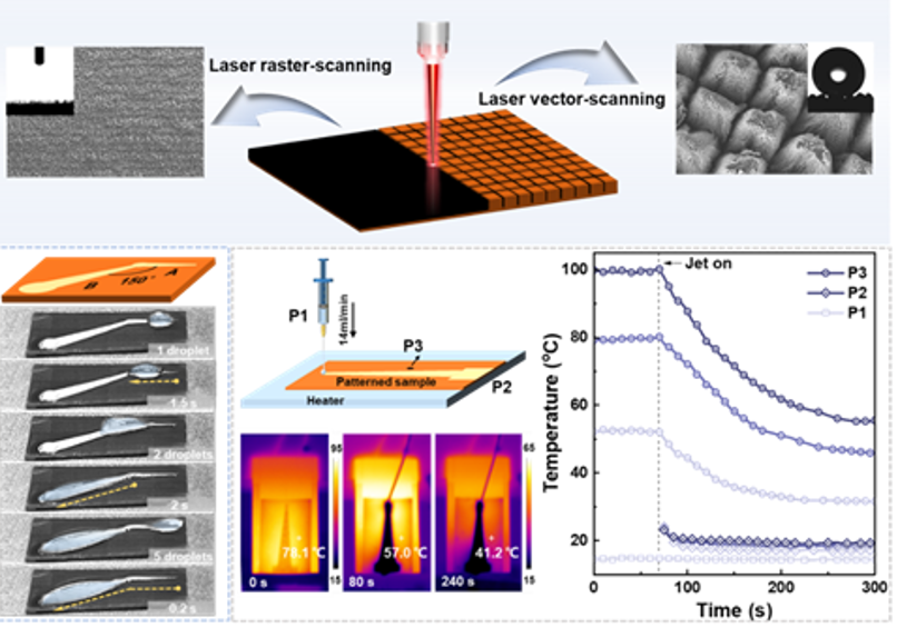 宁波材料所在基于热固性树脂的碳材料制备上取得系列研究进展
