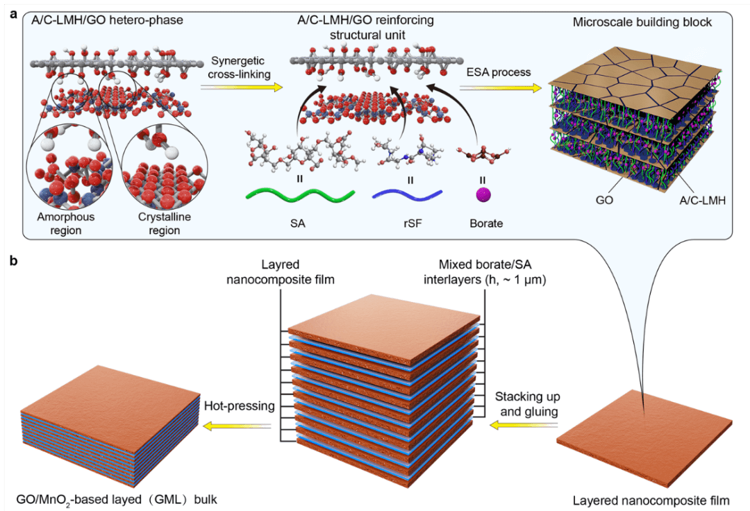 北京航空航天大学郭林教授《自然·材料》：在仿贝壳氧化石墨烯基复合板材及力学性能研究方面取得重要进展