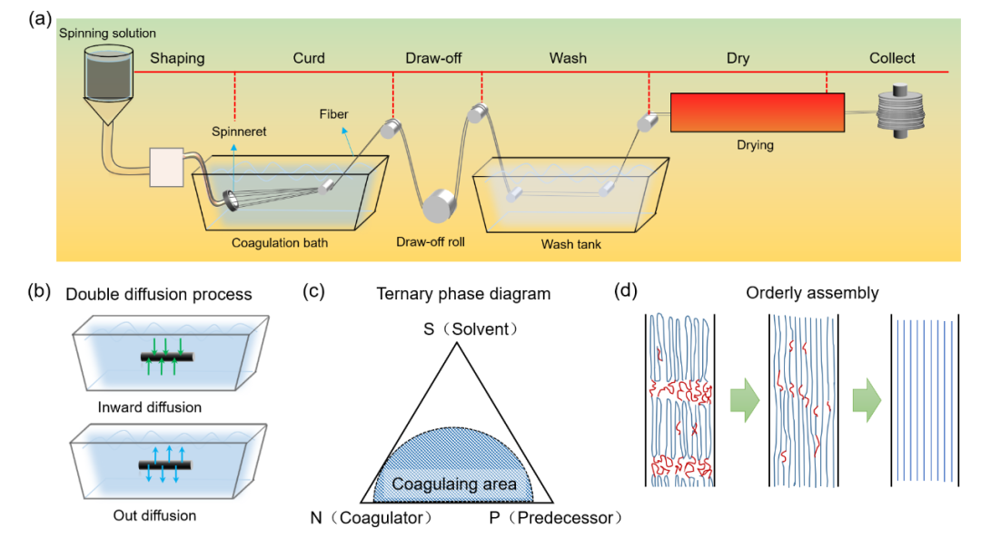北京大学邵元龙课题组综述：湿法纺制石墨烯纤维：工艺、结构、性能与智能应用