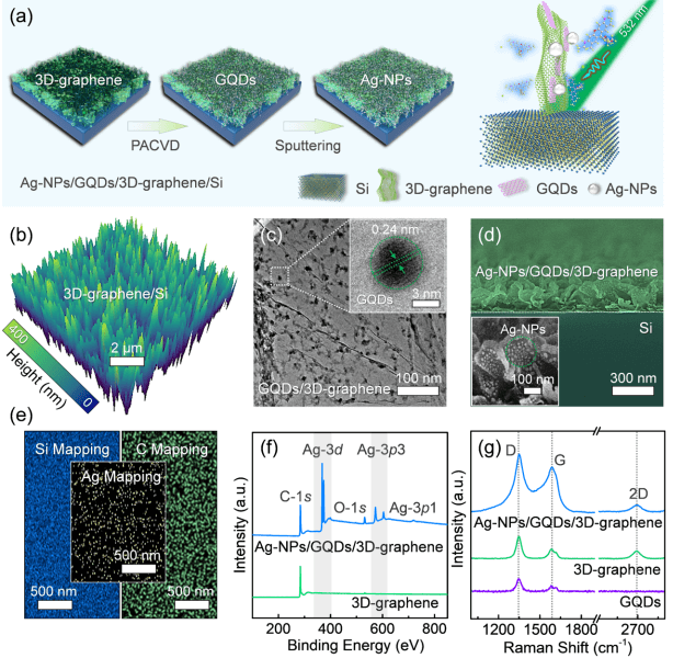 宁波材料所和宁波大学合作：石墨烯纳米谐振器的SERS基底构建及其高灵敏生医传感性能