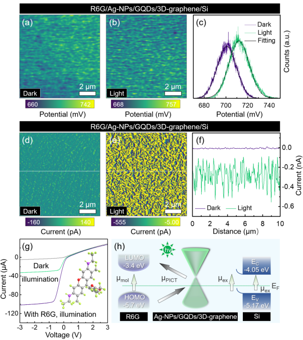 宁波材料所和宁波大学合作：石墨烯纳米谐振器的SERS基底构建及其高灵敏生医传感性能