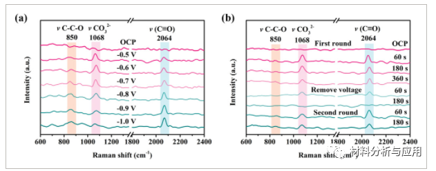 南昌大学《Adv Sci》:磷掺杂石墨烯气凝胶作为自支撑电催化剂，用于CO2转化为乙醇