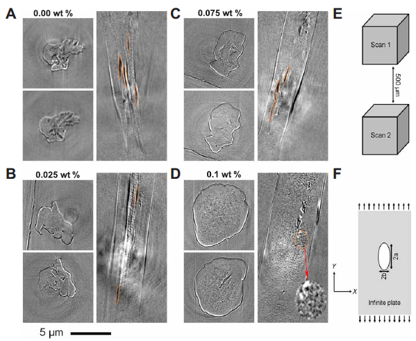 添加不到1‰，碳纤维强度蹭蹭往上提！《Science Advances》：添加少量石墨烯可大幅度提高碳纤维强度