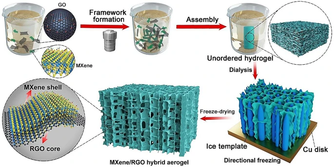 斯坦福大学医学院Ebrahim Mostafavi亮点评述：MXene-石墨烯复合材料在生物医学的应用潜力