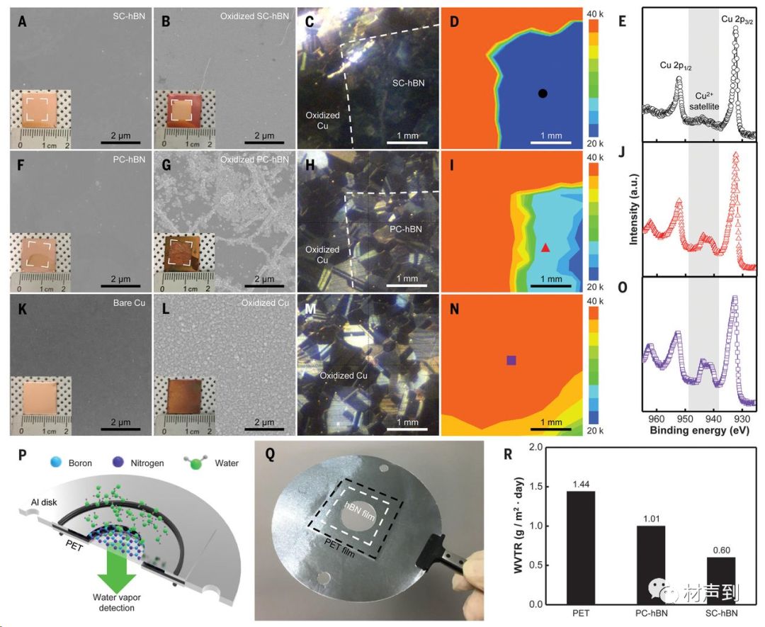 Science | 畴区自校准融合制备晶圆级单晶六方氮化硼(hBN)