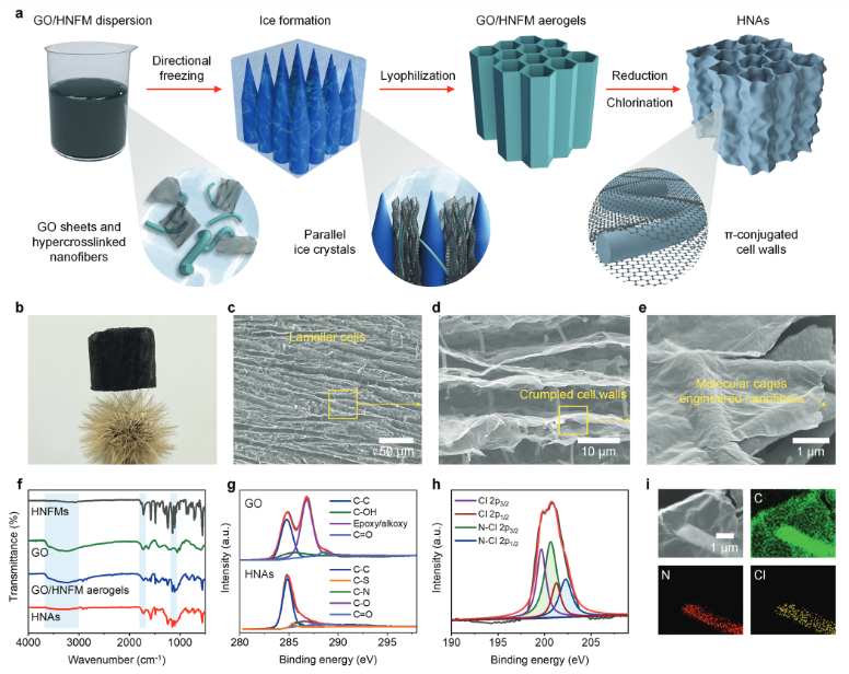 东华大学俞建勇院士/丁彬教授《AFM》：三元多孔共轭的卤胺纳米纤维/石墨烯气凝胶用于降解芥子气