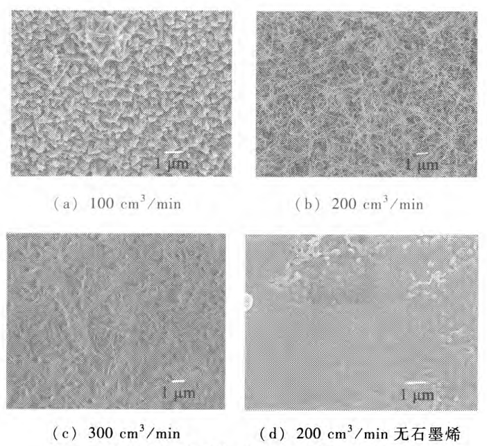 她16岁研究得出石墨烯上可生长GaN纳米线，22岁被南大聘为副研究员