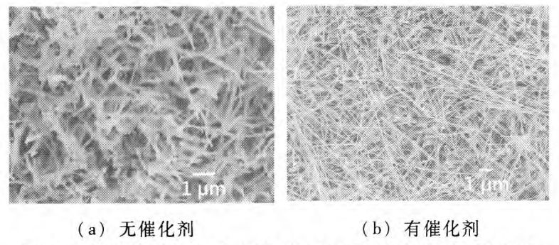 她16岁研究得出石墨烯上可生长GaN纳米线，22岁被南大聘为副研究员
