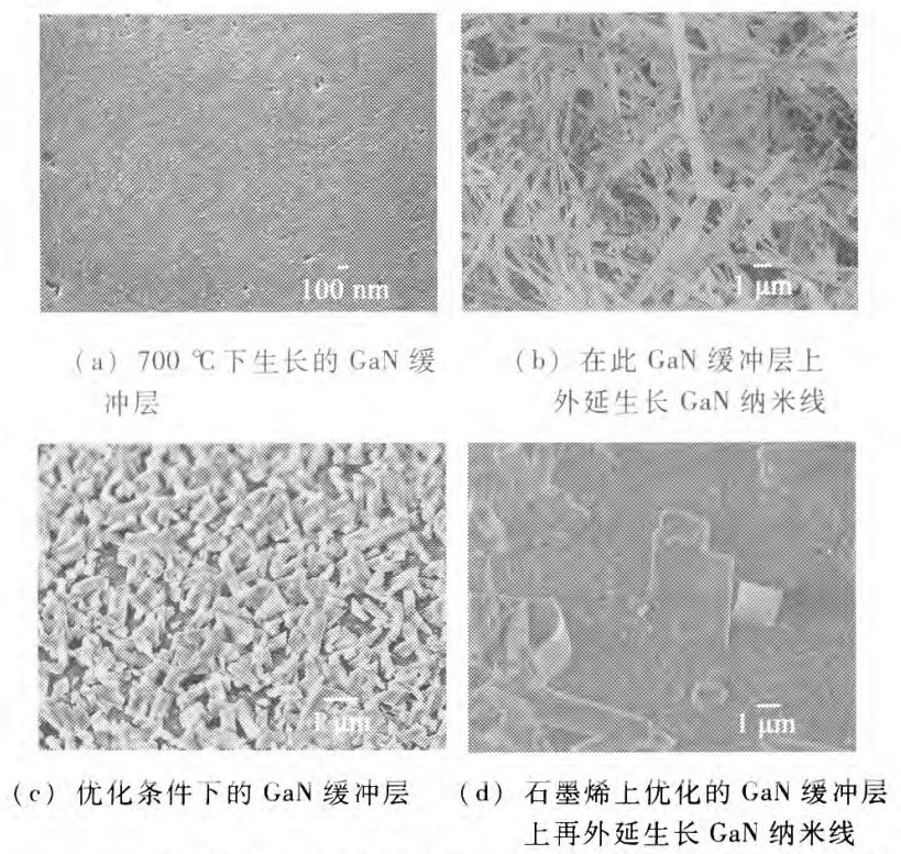 她16岁研究得出石墨烯上可生长GaN纳米线，22岁被南大聘为副研究员