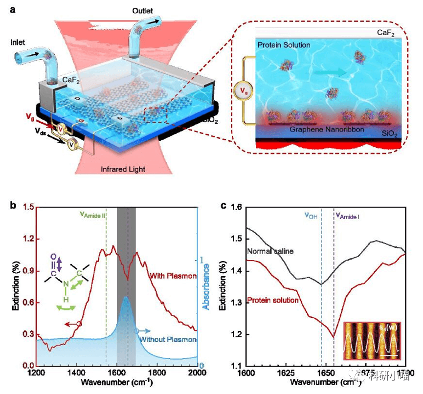 文献Club| Adv. Mater.| 水溶液中超灵敏的石墨烯等离激元中红外生物传感
