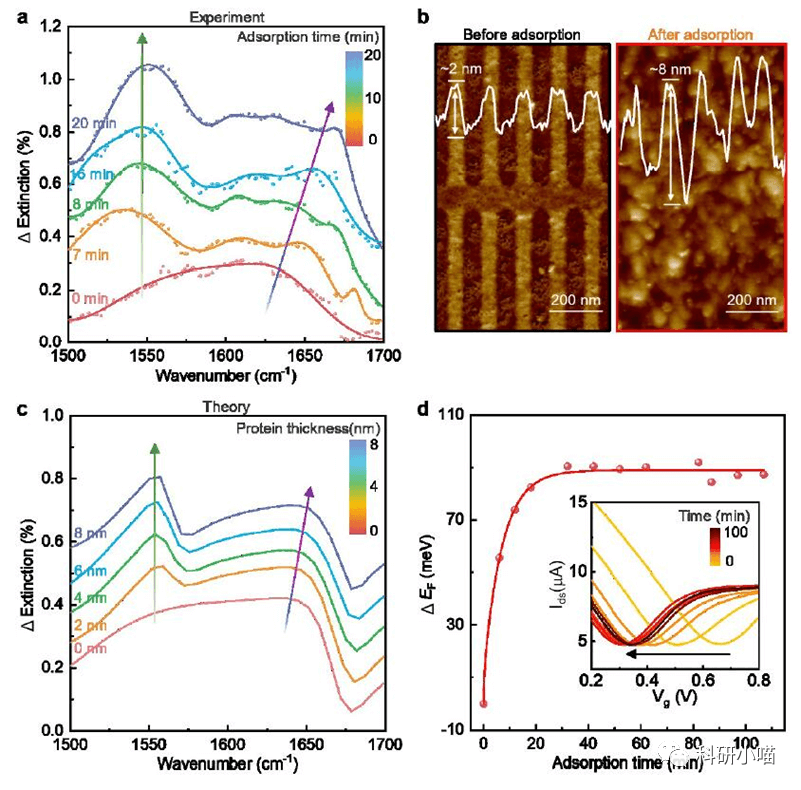 文献Club| Adv. Mater.| 水溶液中超灵敏的石墨烯等离激元中红外生物传感