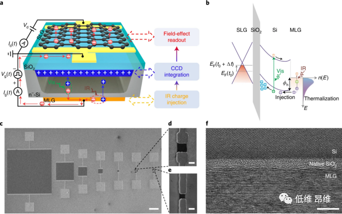 Nat. Electron.：石墨烯电荷注入型光电探测器