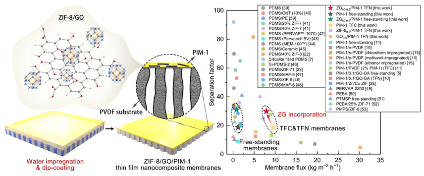 SPT Editor’s Choice │曼彻斯特大学范晓雷教授团队：氧化石墨烯/ZIF-8/PIM-1纳米复合膜渗透汽化有机物