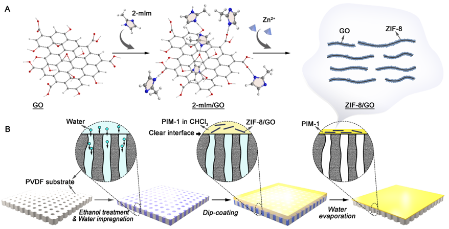 SPT Editor’s Choice │曼彻斯特大学范晓雷教授团队：氧化石墨烯/ZIF-8/PIM-1纳米复合膜渗透汽化有机物