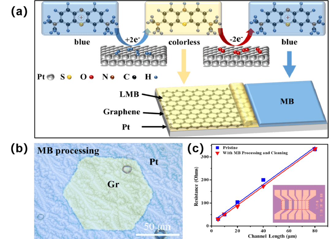 通过亚甲基蓝修饰实现铂上石墨烯的无损显示