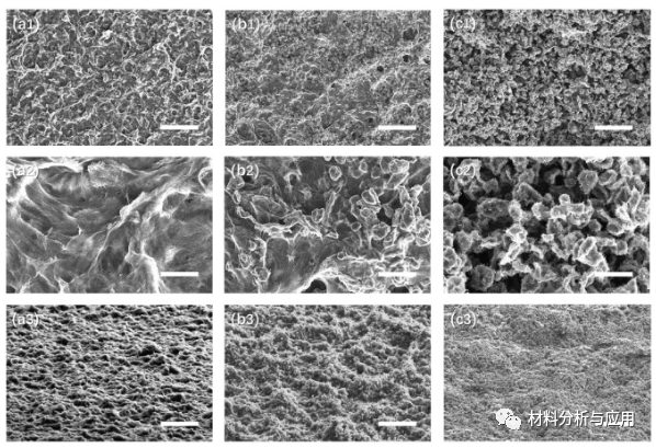 清华大学《Carbon》：碳纳米管和炭黑颗粒组成的新型黑色涂层，具有出色的吸收性能/光捕获能力