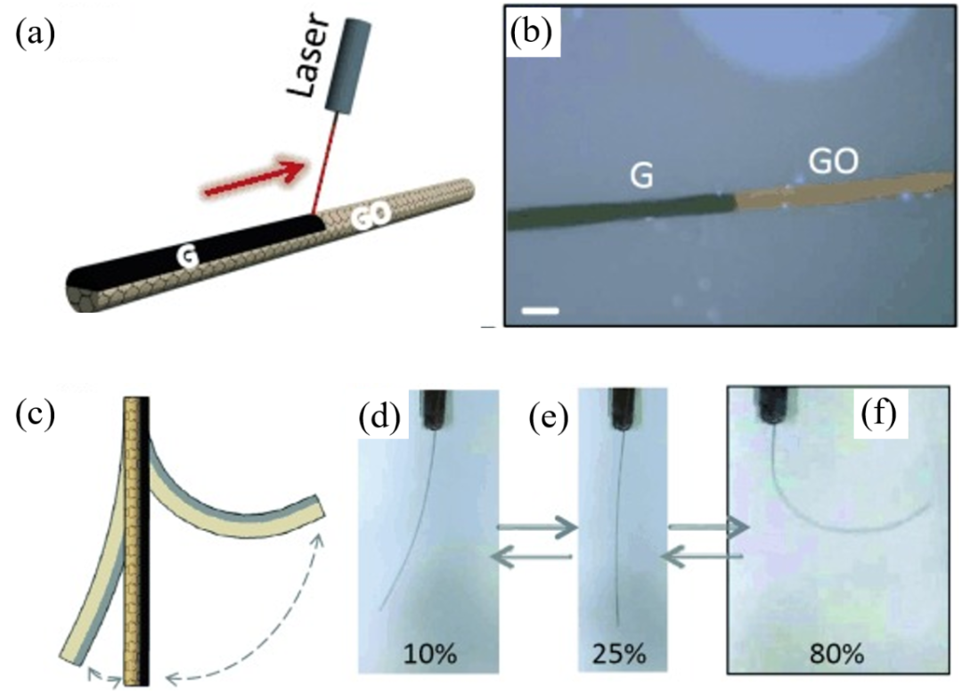 北京大学张锦院士团队综述：烯碳材料在人工肌肉领域的应用进展
