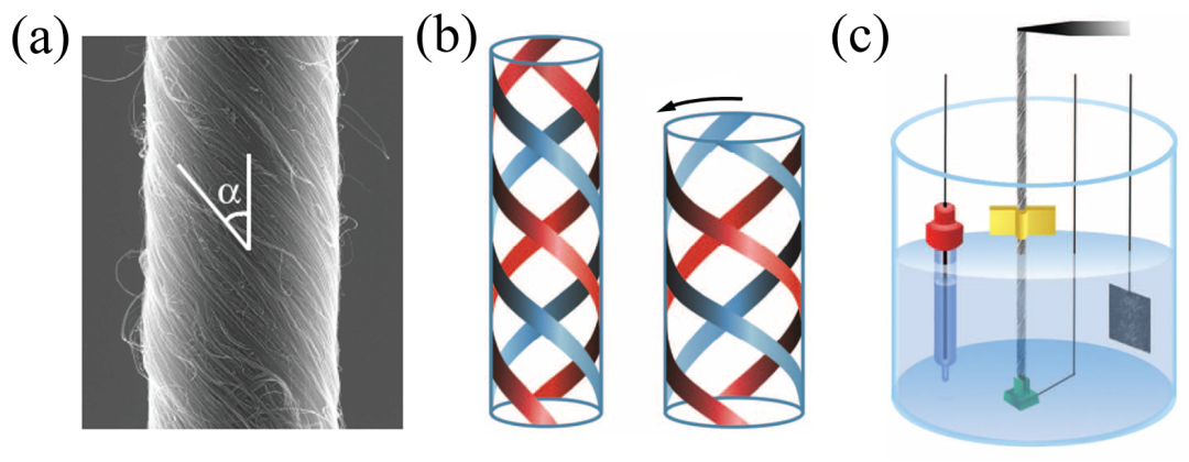 北京大学张锦院士团队综述：烯碳材料在人工肌肉领域的应用进展