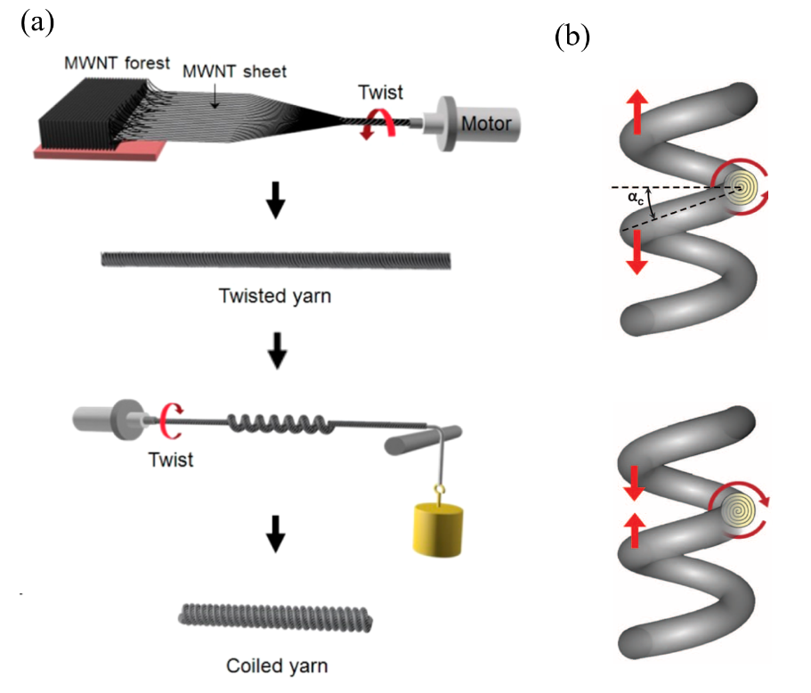 北京大学张锦院士团队综述：烯碳材料在人工肌肉领域的应用进展