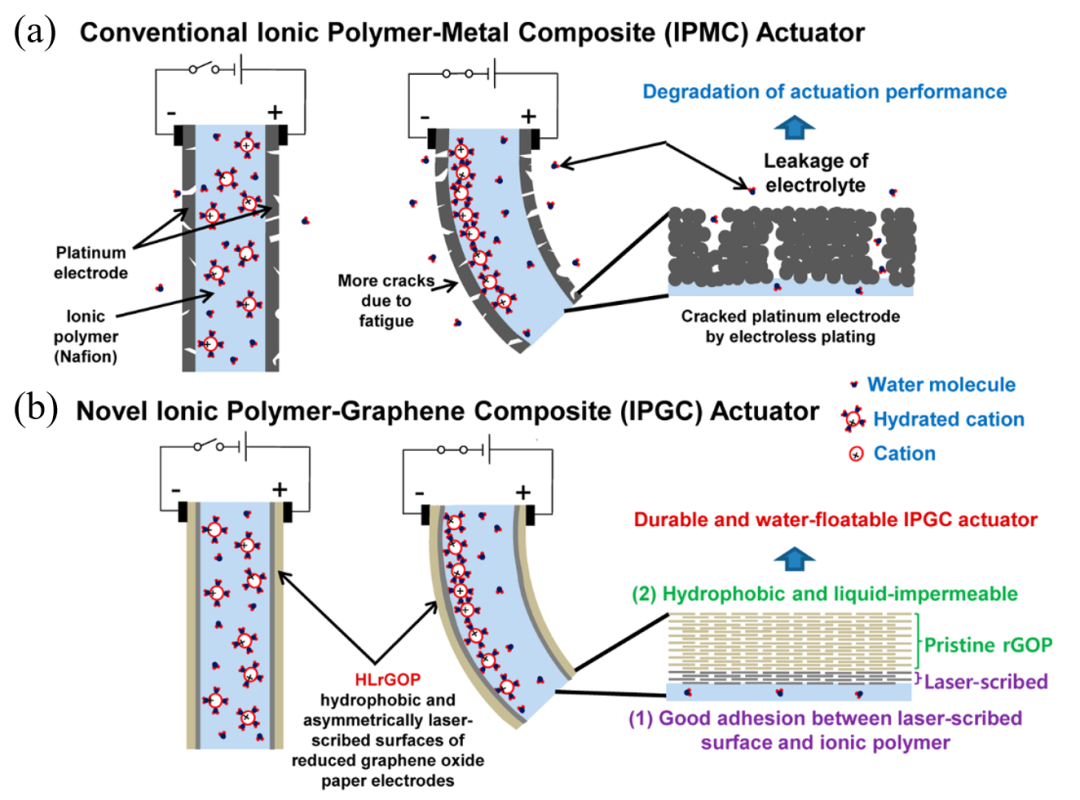 北京大学张锦院士团队综述：烯碳材料在人工肌肉领域的应用进展