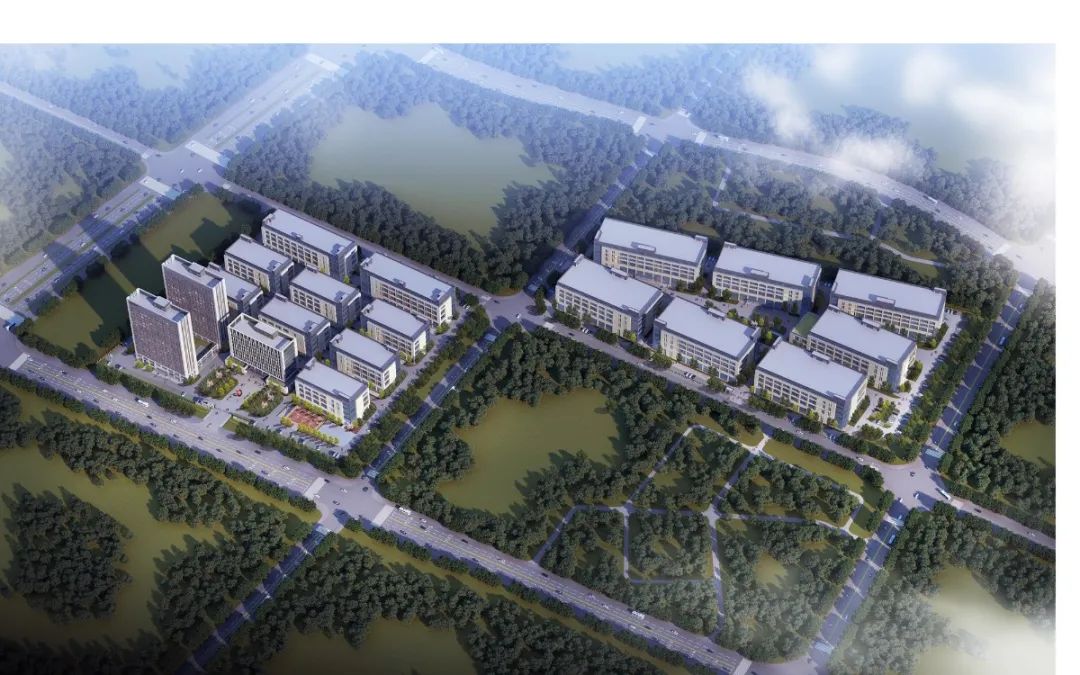 华为首席科学家调研石墨烯平台