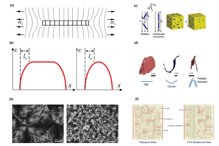 北京大学张锦院士团队综述：烯碳材料改性有机高性能纤维：制备、性能及应用