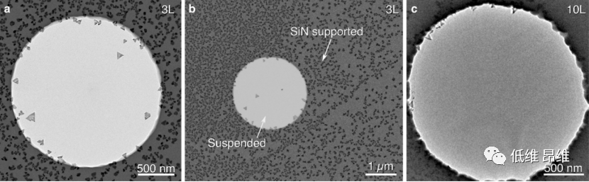 ACS Nano：悬浮的石墨烯薄膜控制Au成核和生长
